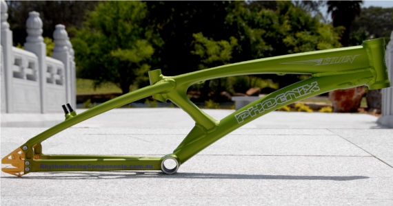 Phoenix_Pro_XL_20_AL_BMX_Talon_Frame_Rhythm_Racing_Compoments_USA_machined.JPG